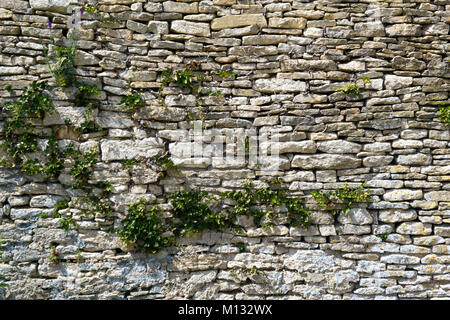 Alte Schutt Steinmauer mit Vegetation wächst an Es Stockfoto