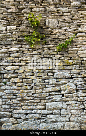 Alte Schutt Steinmauer mit Vegetation wächst an Es Stockfoto