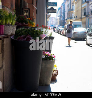 Sonnenbeschienene Straße, Töpfe mit Frühlingsblumen außerhalb Flower Shop Stockfoto