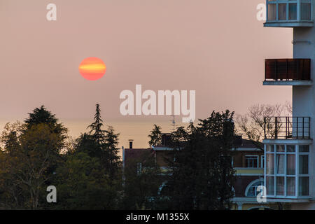 Die untergehende Sonne über dem Meer hinter dem aparment Gebäude und Bäume, Sochi, Russland Stockfoto