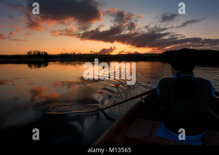 Finnische Landschaften: Man Rudern ein Ruderboot mit Rudern auf einem ruhigen See, in einem schönen Sonnenaufgang, Finnland Stockfoto