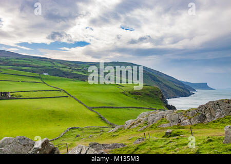 Grüne Wiesen und Weiden entlang der Küste in der Grafschaft Antrim, Irland in der Nähe von Kenmare Stockfoto