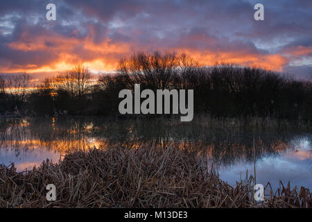 Barton-upon-Humber, Großbritannien. 26. Januar 2018. UK Wetter: Sonnenaufgang über einem Lincolnshire Wildlife Trust Naturschutzgebiet, Barton-upon-Humber, North Lincolnshire, Großbritannien. 26. Januar 2018. Quelle: LEE BEEL/Alamy leben Nachrichten Stockfoto