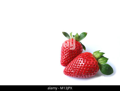 Paar leuchtend rote frische reife Erdbeere Früchte auf weißem Hintergrund mit Freiraum für Text oder Design isoliert Stockfoto