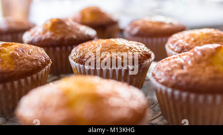 Batch an hausgemachten frisch gebackenen Kuchen oder Muffins Kühlung auf einem Regal in der Küche in der Nähe zu sehen, mit selektiven Fokus. Defokussierten blurry Ba Stockfoto