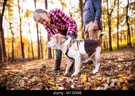 Älteres Ehepaar mit Hund auf einem Spaziergang im Wald. Stockfoto