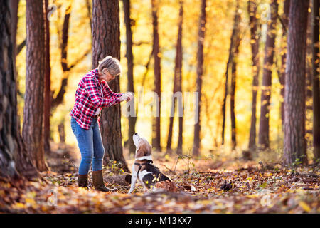 Ältere Frau mit Hund auf einem Spaziergang im Wald. Stockfoto