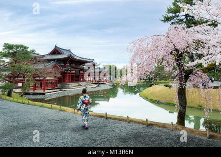 Asiatische Frauen tragen traditionelle japanische Kimono in Byodo-in Tempel in Uji, Kyoto, Japan im Frühling. Kirschblüte in Kyoto, Japan. Stockfoto