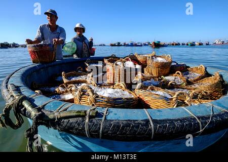 Vietnam, Binh Thuan Provinz, Mui Ne, entladen Sardellen Korb am Strand Stockfoto