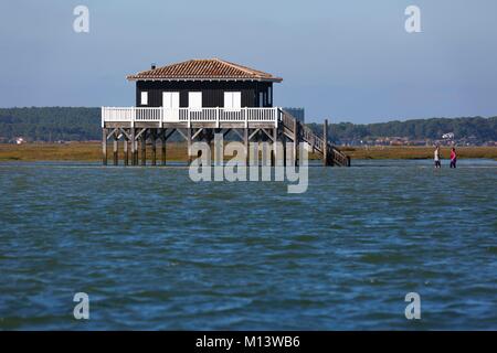 Frankreich, Gironde, Bassin d'Arcachon, l'Ile aux Oiseaux, verstaut Kabinen Stockfoto