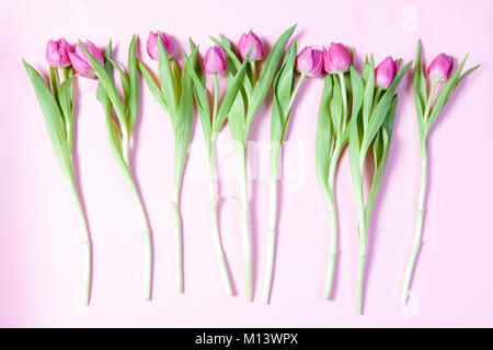 Rosa Tulpen in einer Reihe auf einem rosa Hintergrund angeordnet. Grußkarten zum Valentinstag Stockfoto