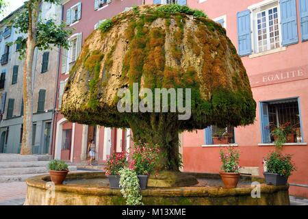 Frankreich, Var, Provence Verte, Barjols, Brunnen mit Tuff und Moos vor Rathaus abgedeckt Stockfoto
