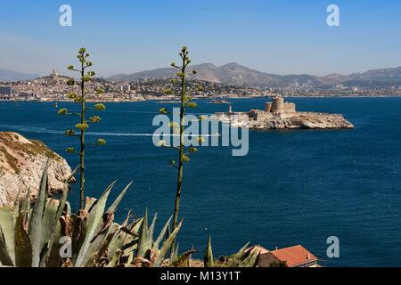 Frankreich, Bouches-du-Rhone, Marseille, Calanques Nationalpark, Archipel von Frioul-inseln das Château d'If und der Stadt Marseille im Hintergrund Stockfoto