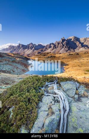 Frankreich, Hautes Alpes, Nevache, claree Tal, Langen See (2387 m) mit im Hintergrund das Bergmassiv des Cerces (3093 m), rechts die Spitzen der wichtigsten de Crepin (2942 m) Stockfoto