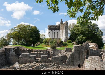Frankreich, Orne, Domfront, Ruinen des Schlosses, Kerker und Stadtmauer aus dem Mittelalter Stockfoto