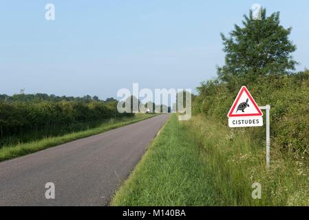 Frankreich, Indre, Saint Michel en Brenne, Brenne Regionalen Naturpark, Straßen-Schild in der Nähe des Naturschutzgebiet Cherine, den Schutz der Europäischen Sumpfschildkröte (Emys orbicularis) Stockfoto