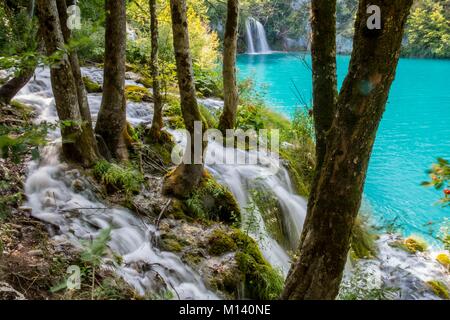 Kroatien, Nord Dalmatien, Nationalpark Plitvicer Seen ein UNESCO Weltkulturerbe, Unteren Seen Stockfoto