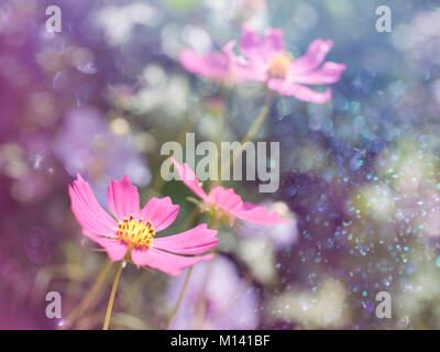 Blumenkarte mit bokeh Stockfoto