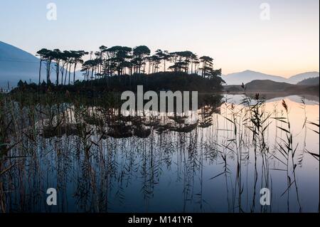 Irland, im County Galway, den Connemara National Park, Derryclare Lake bei Sonnenaufgang Stockfoto