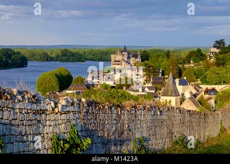 Frankreich, Maine et Loire, Loire-Tal UNESCO Weltkulturerbe, Montsoreau, Schloss vom 15. Jahrhundert entlang der Loire Stockfoto