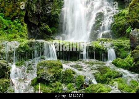 Kanada, New Brunswick, Alma, Fundy National Park, Dickson fällt Stockfoto