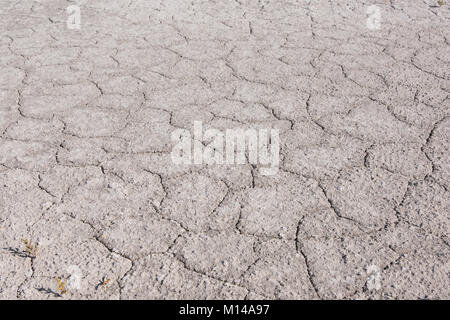 Eine Nahaufnahme der Sole auf der Küstenlinie des Great Salt Lake, Utah, UDA Stockfoto