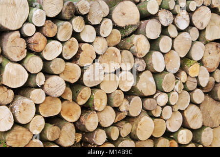 Haufen von Protokollen Stockfoto