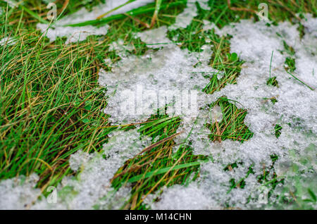 Eis und Schnee schmelzen auf grünem Gras. Stockfoto