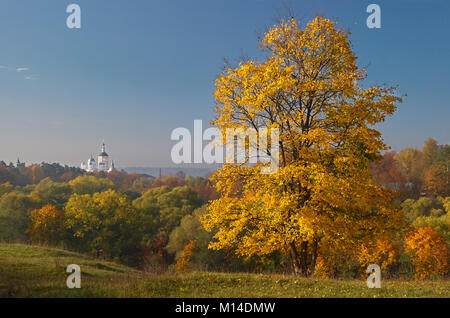 Fall view auf großen Aspen Tree und das Kloster der Geburt der Jungfrau st. Paphnutius von Borovsk vom Hügel, Oblast Kaluga, Russland. Stockfoto