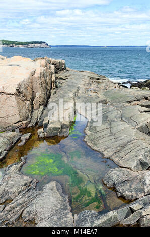 Tide pool an Otter Klippen, auf der Suche nach Großen Kopf. Acadia National Park, maone. Stockfoto