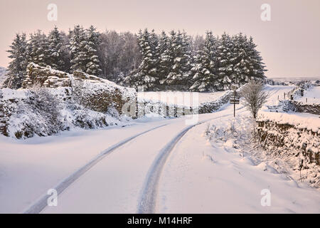 Schnee beladenen Kiefern und schneebedeckten Torf Lane mit einzelnen Fahrzeug Tracks. Stockfoto