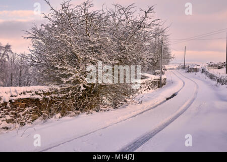 Schnee beladenen Hawthorne und schneebedeckten Torf Lane mit einzelnen Fahrzeug Tracks. Stockfoto