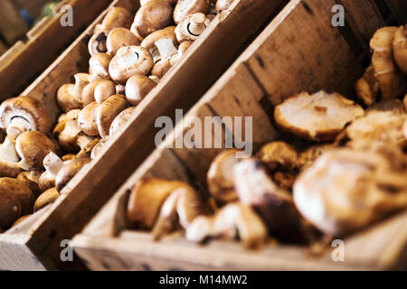 Blick auf frische Pilze im rustikalen Container auf dem Markt Stockfoto