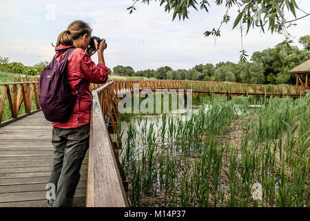 Junge Frau Foto in Kopacki Rit, die Feuchtgebiete Naturschutzgebiet, Inland Kroatien. Mai 2017. Stockfoto