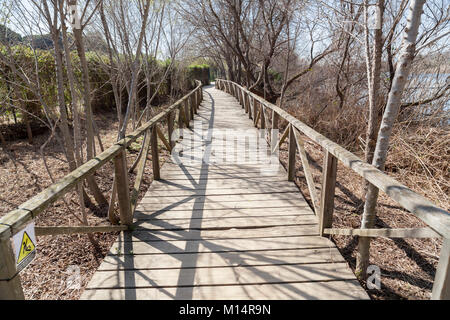 Natural area Delta Llobregat Fluß, in der Nähe vom Flughafen El Prat-Barcelona, geschützten Raum, Vogelbeobachtung Zone. Viladecans, Katalonien, Spanien. Stockfoto