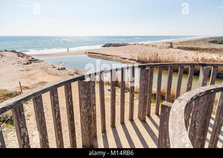 Natural area Delta Llobregat Fluß, in der Nähe vom Flughafen El Prat-Barcelona, geschützten Raum, Vogelbeobachtung Zone. Viladecans, Katalonien, Spanien. Stockfoto