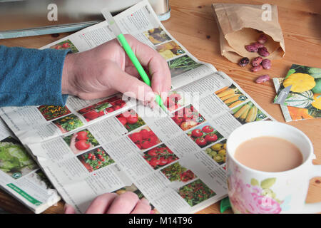 Männliche Gärtner bereitet den Samen von der Gartenarbeit Kataloge im Winter zu bestellen (Januar), in der Vorbereitung für die Neue pflanzsaison, Großbritannien Stockfoto