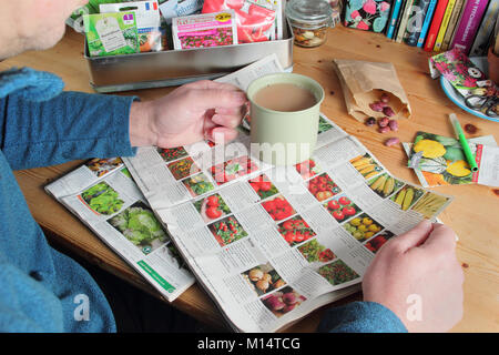 Männliche Gärtner bereitet den Samen von der Gartenarbeit Kataloge im Winter zu bestellen (Januar), in der Vorbereitung für die Neue pflanzsaison, Großbritannien Stockfoto