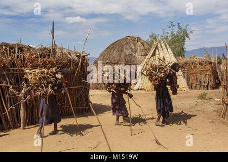 Äthiopien, untere Omo Valley UNESCO Weltkulturerbe, Erbore Stamm, die Hütten Erbore sind aus Papyrus, Frauen wieder Bundles aus Holz Stockfoto