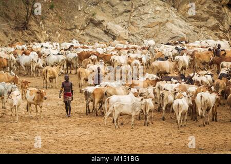 Äthiopien, untere Omo Valley UNESCO Weltkulturerbe, Hamer Stamm Stockfoto