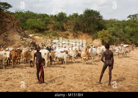 Äthiopien, untere Omo Valley UNESCO Weltkulturerbe, Hamer Stamm Stockfoto