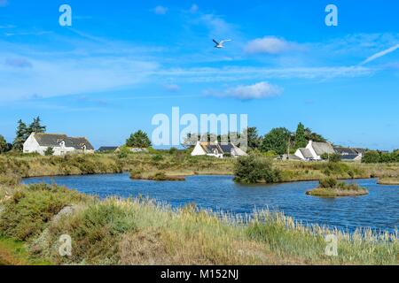 Frankreich, Loire-Atlantique, Guérande Halbinsel Guérande Salzwiesen Stockfoto