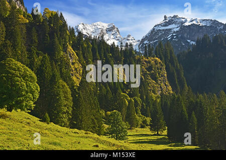 Wunderschöne alpine Landschaft mit üppig-grünen Wäldern und schneebedeckten Berge. Vorarlberg, Österreich Stockfoto