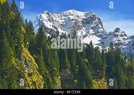 Wunderschöne alpine Landschaft mit üppig-grünen Wäldern und schneebedeckten Berge. Vorarlberg, Österreich Stockfoto