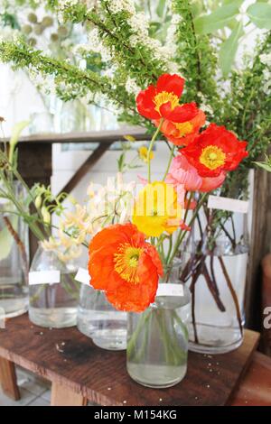 Blumenstrauß aus Mohn in Glas Glas in Flower Shop Stockfoto