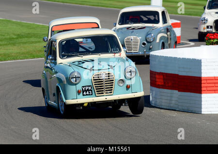 1956 Austin A 30 von Nick Foster von Rob Collard racing in der St Mary Trophäe am Goodwood Revival angetrieben im Besitz Stockfoto