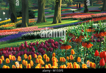 Die Niederlande. Lisse. Flower Gardens genannt De Keukenhof. Tulpen und anderen Blumen. Stockfoto