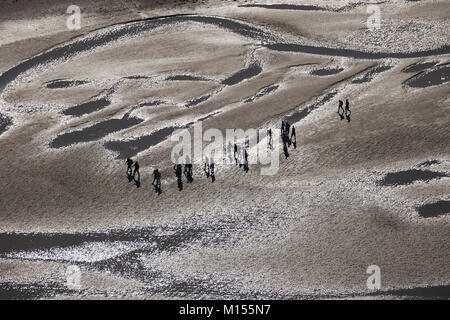 Den Niederlanden, Nieuw Namen. Menschen zu Fuß auf der Westerschelde Fluss Gezeiten Sandbänken. Luft. Stockfoto