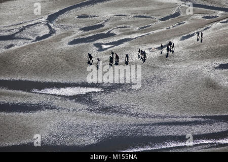 Den Niederlanden, Nieuw Namen. Menschen zu Fuß auf der Westerschelde Fluss Gezeiten Sandbänken. Luft. Stockfoto