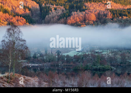 Atemberaubende Herbstlandschaft mit nebligen Bäume vor. Hurdles Trossachs, Teil des Ferienobjekts Bond, Loch Achray, S Stockfoto